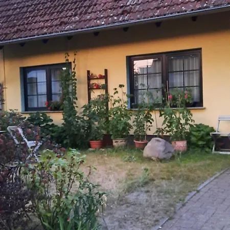 Arte Apartment